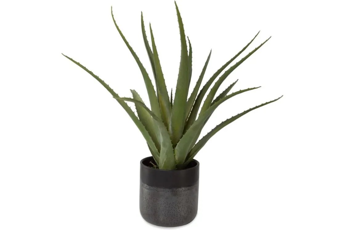 Mor Furniture Tucson Plant