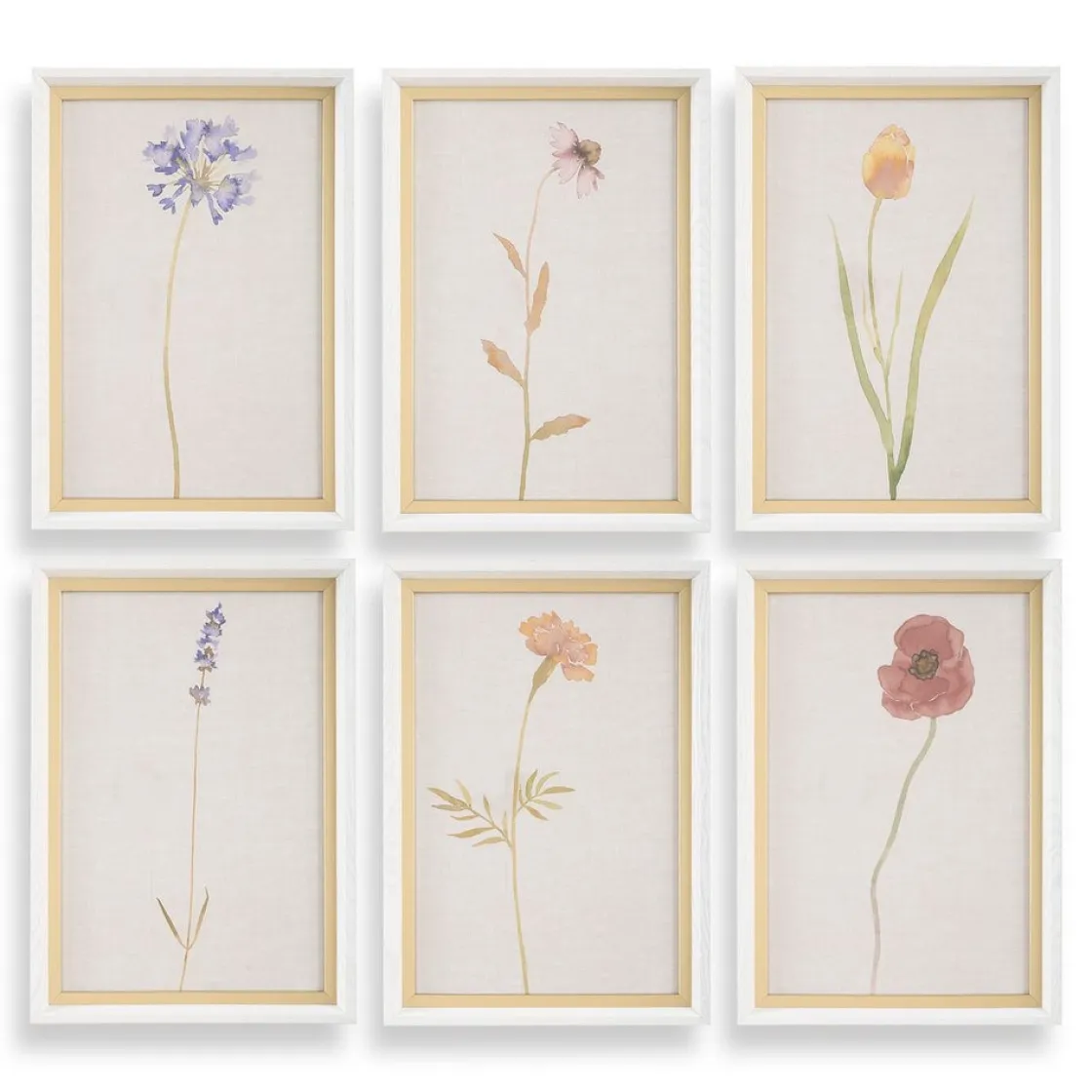 Mor Furniture Wild Flourish Wall Art, Set Of 6